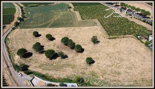  Terrain � vendre 799 m�