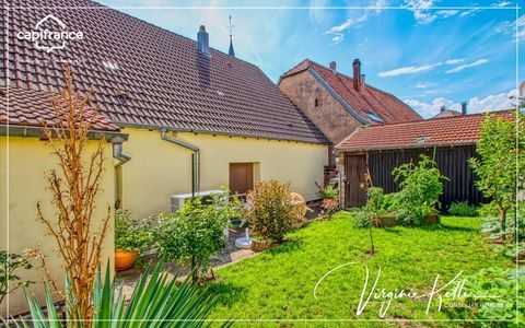   Viager Libre en Exclusivit� � Lemberg - Maison individuelle de plain-pied sans travaux - Sous-sol total - Garage - D�pendances - Maison - 6 pi�ce(s) - 130 m�