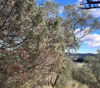  Terrain � vendre 854 m�