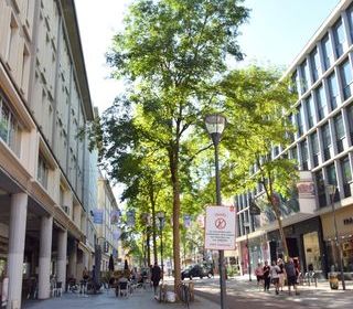  Appartement � vendre 5 pi�ces 102 m�