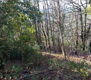  Terrain � vendre 6393 m�