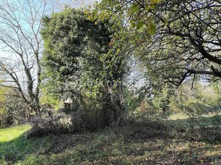  Maison � vendre 11 pi�ces 325 m�