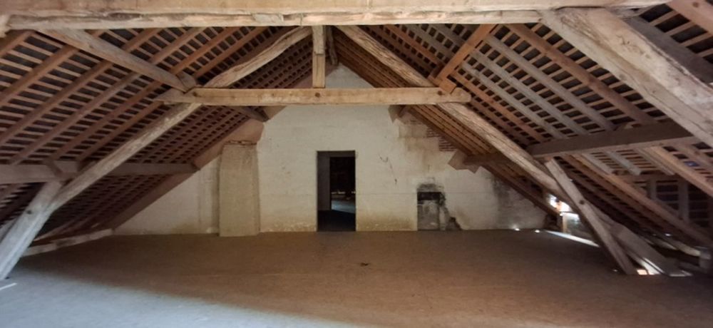 � vendre  Propri�t�/ch�teau Mor�e (41160)