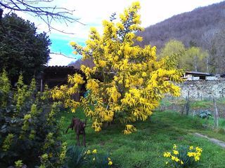  Ferme � vendre 5 pi�ces 122 m�