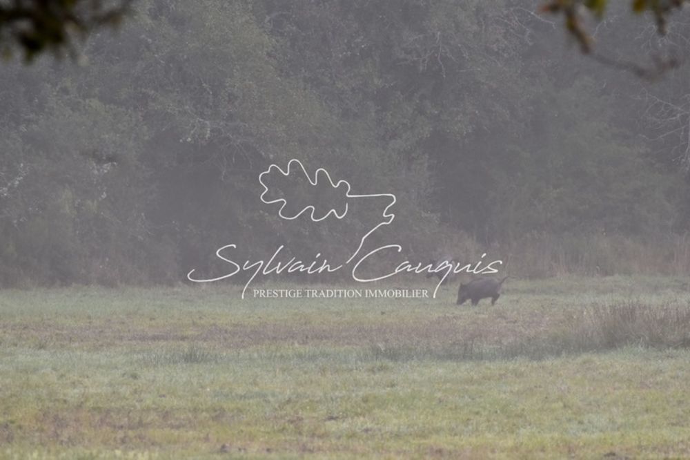 � vendre  Propri�t�/ch�teau Sennely (45240)