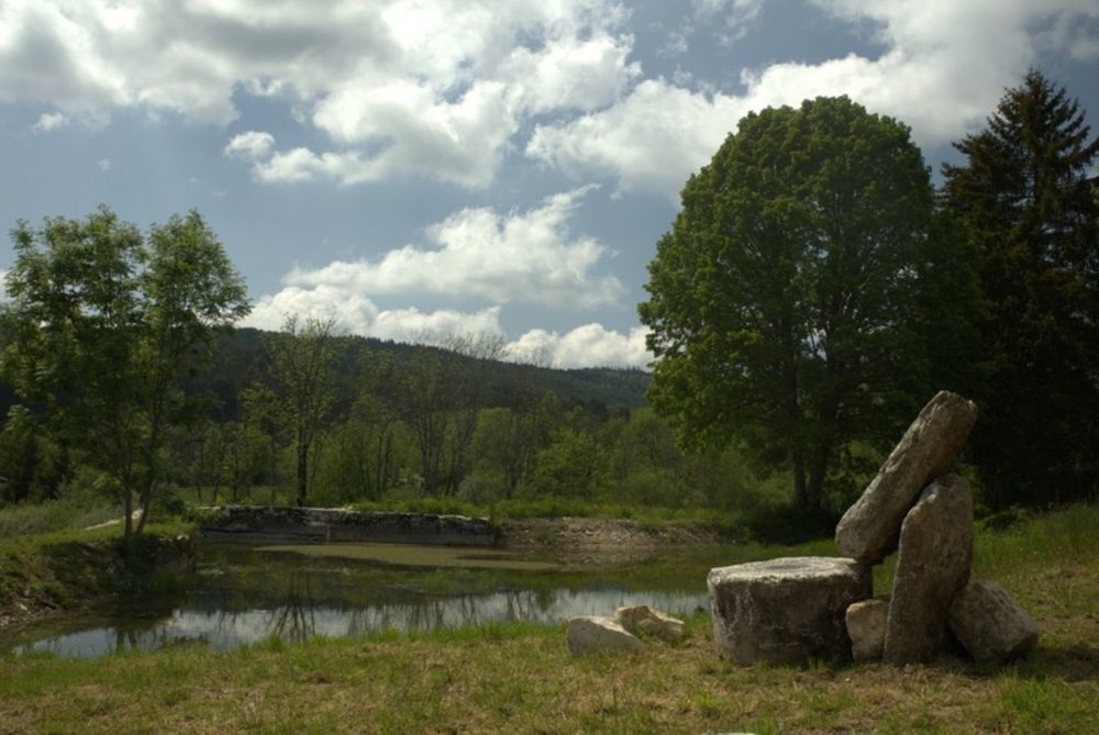 � vendre  Propri�t�/ch�teau Hauteville-Lompnes (01110)