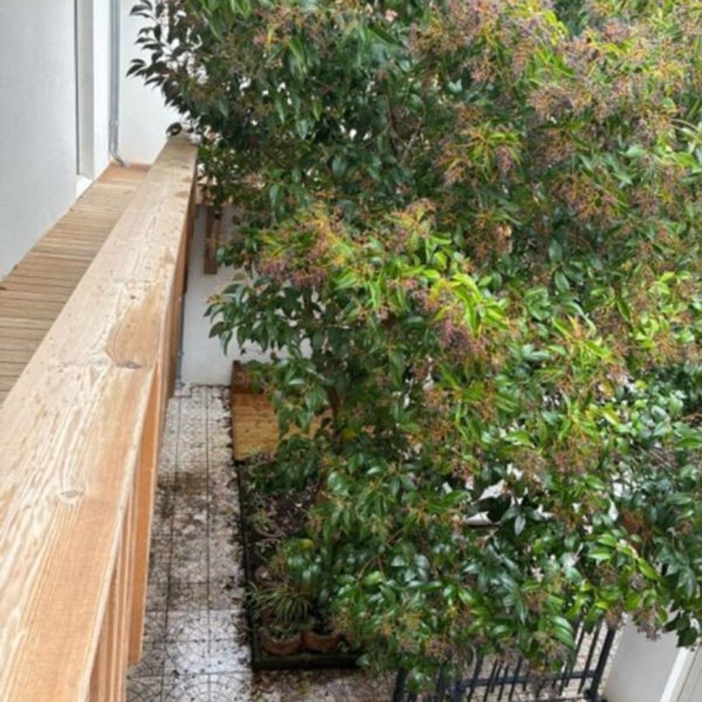 � vendre  Appartement Arcachon (33120)