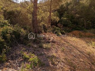  Terrain � vendre 2045 m�