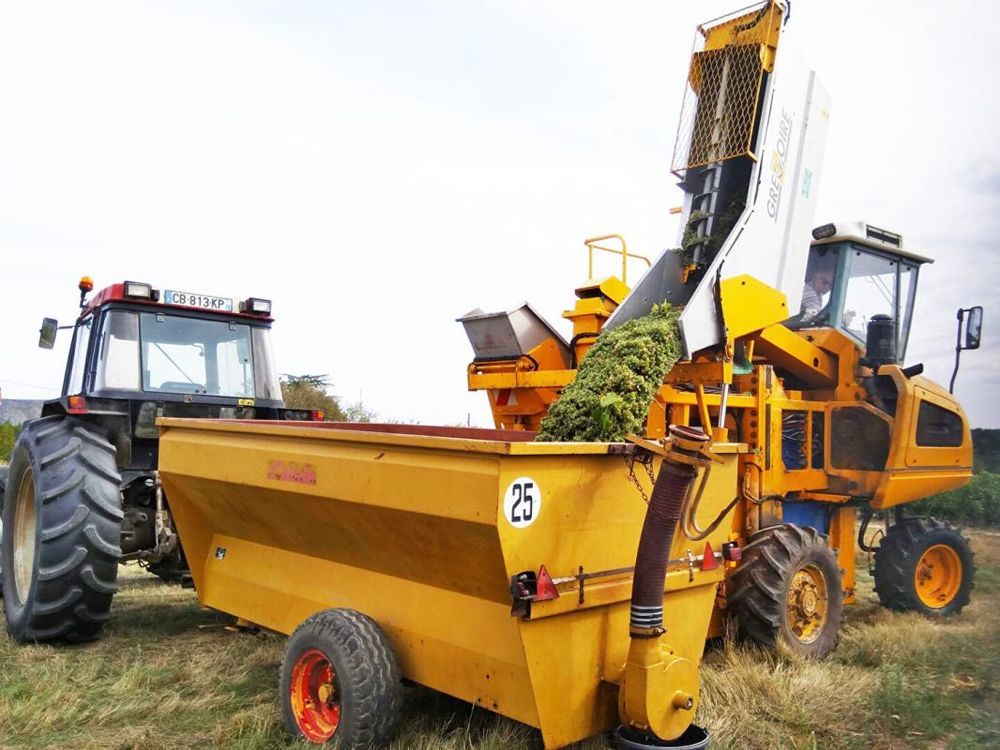 � vendre  Maison Saint-Aignan (41110)