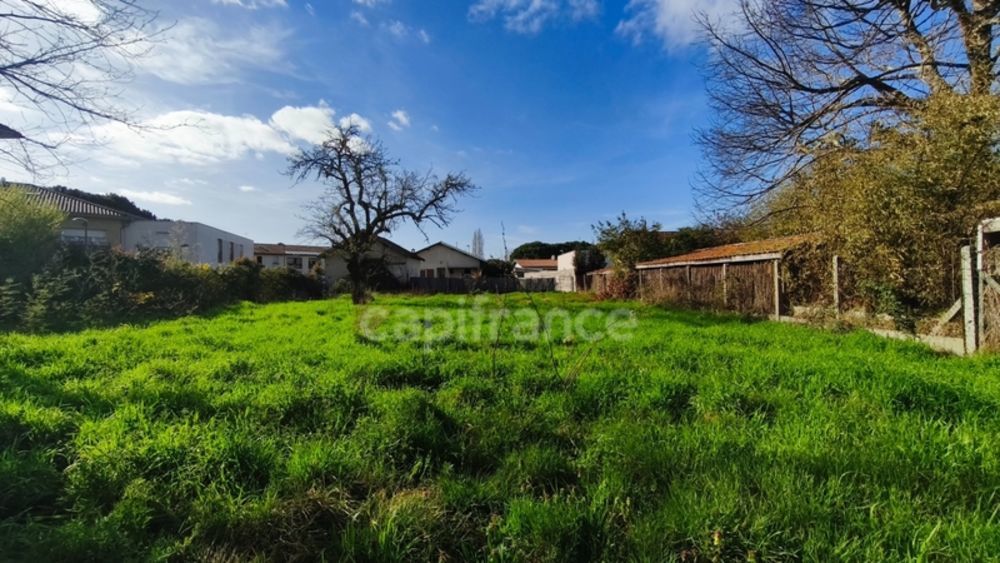 � vendre  Maison Le Teich (33470)