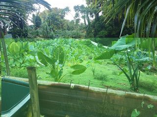  Terrain � vendre 500 m�