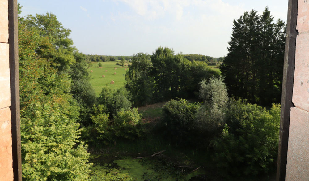 � vendre  Propri�t�/ch�teau La Truch�re (71290)