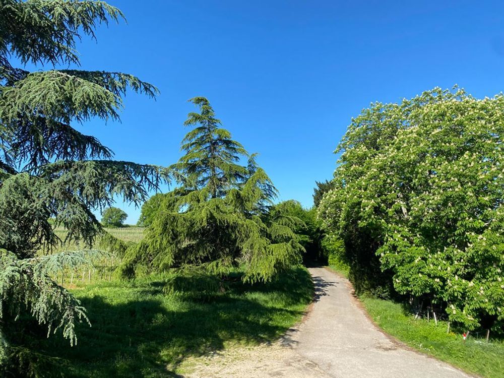 � vendre  Propri�t�/ch�teau Fronsac (33126)