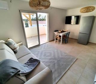  Appartement � vendre 3 pi�ces 45 m�