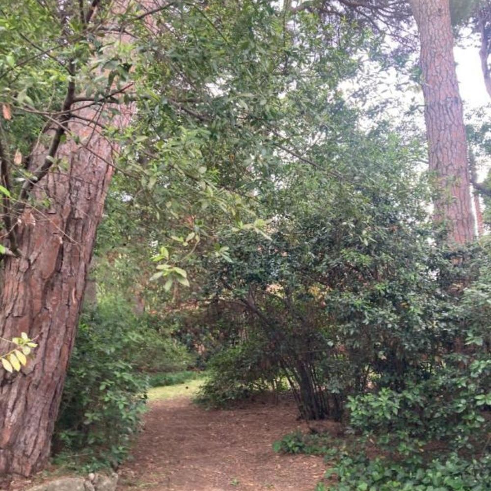 � vendre  Propri�t�/ch�teau Montpellier (34000)