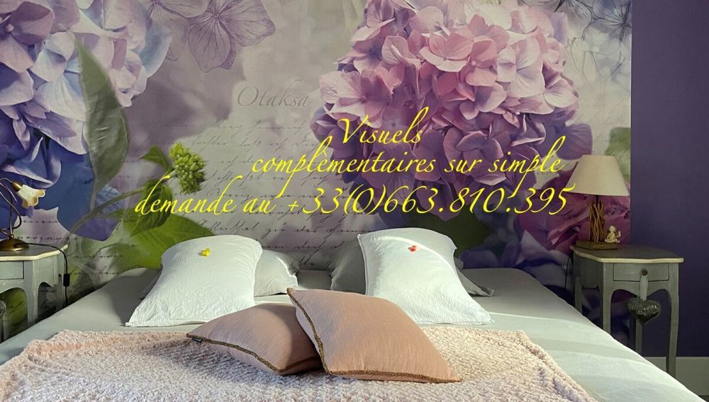 � vendre  Propri�t�/ch�teau Saint-Marcel (71380)