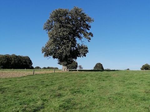   Propriete � vendre 1 pi�ces CEAUCE (61) Propri�t�/ch�teau - 1 pi�ce(s) - 1 m�