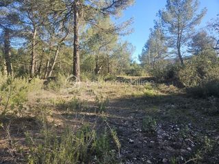  Maison � vendre 10 pi�ces 220 m�