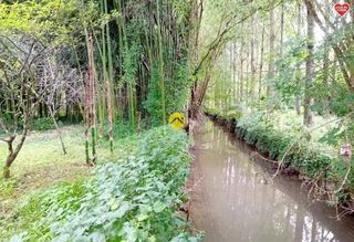  Terrain � vendre 11500 m�