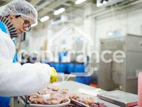 Proche de LILLE (59) - Cuisine centrale/Traiteur - Capacit&eacute; 600 couverts/jour 168000 59000 Lille