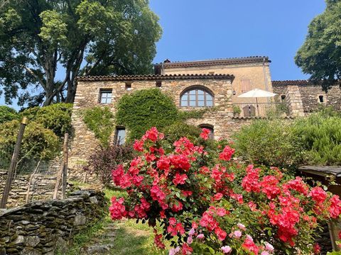   Mas c�venol Propri�t�/ch�teau - 7 pi�ce(s) - 250 m�