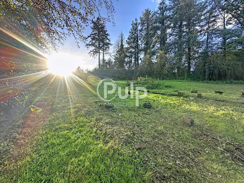   MAISON 4 CHAMBRES AVEC POTENTIEL PROFESSIONNEL Maison - 11 pi�ce(s) - 153 m�