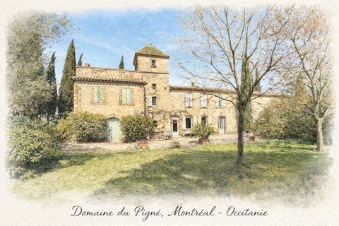   DOMAINE DE CARACT�RE � INVESTISSEMENT TOURISTIQUE & �V�NEMENTIEL � LAURAGAIS (AUDE) Maison - 15 + pi�ce(s) - 390 m�