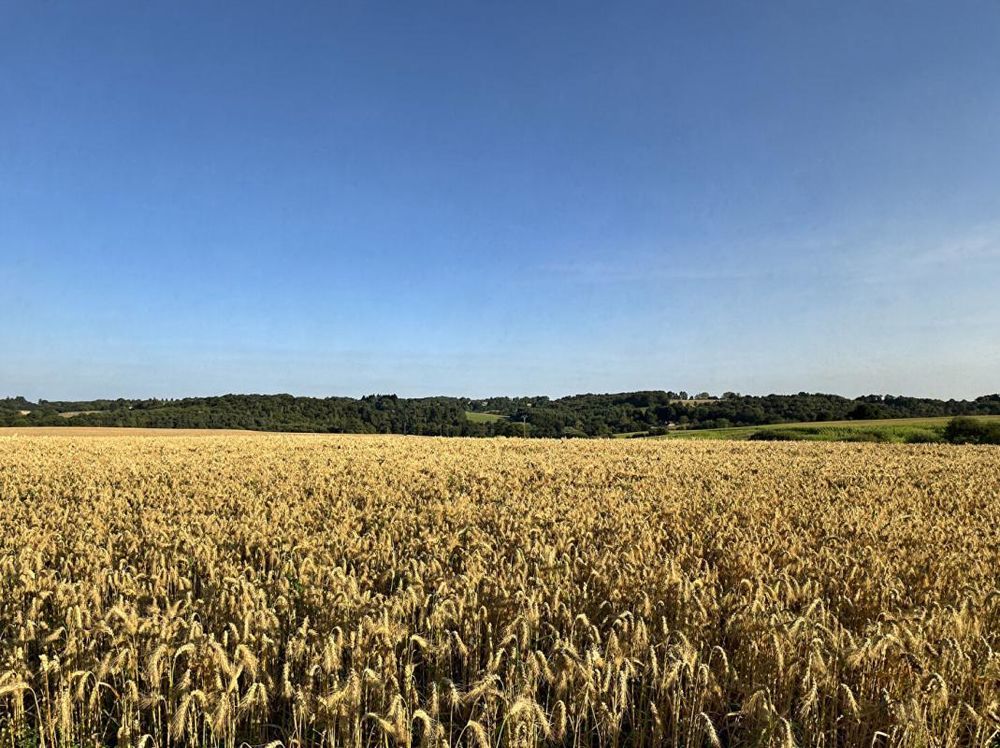 � vendre  Maison Payzac (24270)