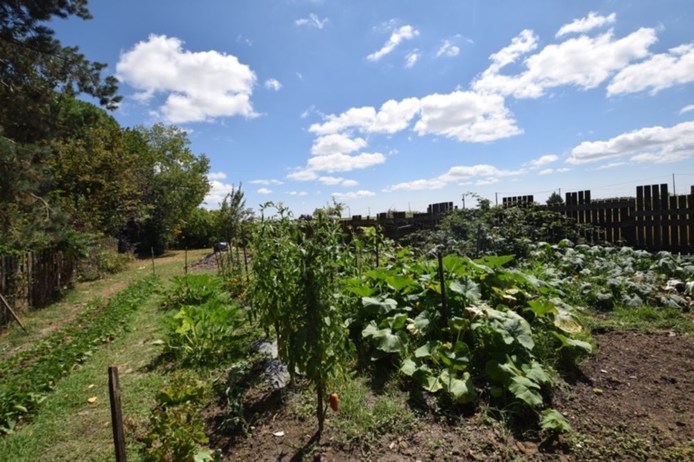 � vendre  Propri�t�/ch�teau Sainte-Bazeille (47180)