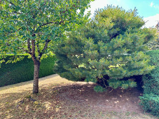  Maison � vendre 7 pi�ces 134 m�