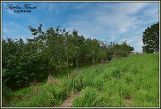  Terrain � vendre 4770 m�