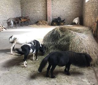  Remise / Grange � vendre 1 pi�ce 280 m�