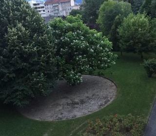  Appartement � louer 1 pi�ce 27 m�