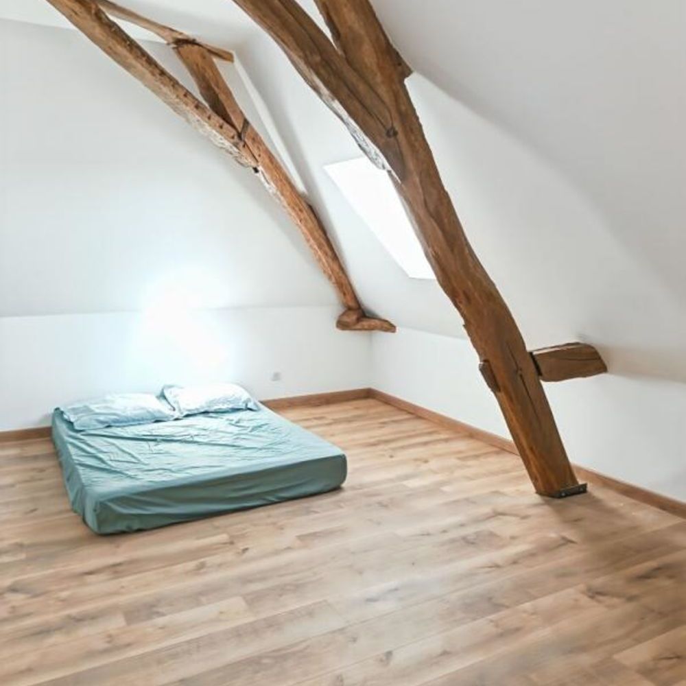 � vendre  Propri�t�/ch�teau Vernou-sur-Brenne (37210)