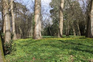  Terrain � vendre 8124 m�