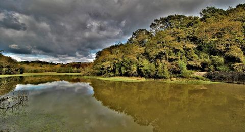  Propri�t�/ch�teau � vendre 6 pi�ces 174 m�