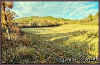  Terrain � vendre 16523 m�