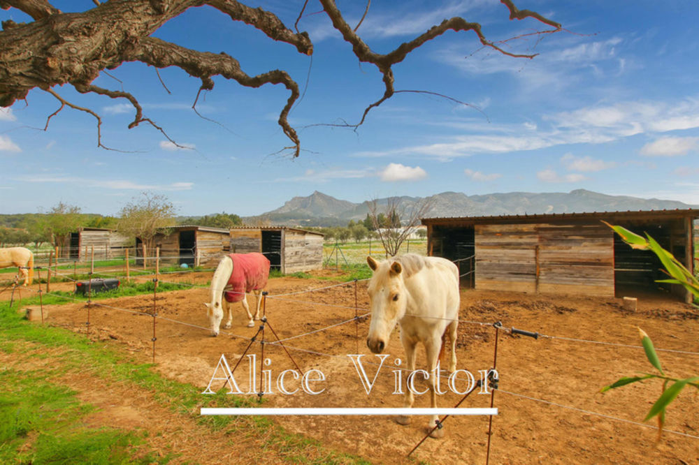 � vendre  Maison Aubagne (13400)