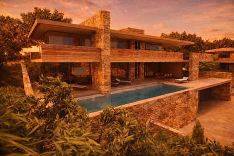   Villa contemporaine d'exception Maison - 6 pi�ce(s) - 493 m�