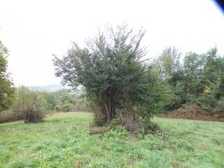  Terrain � vendre 2471 m�