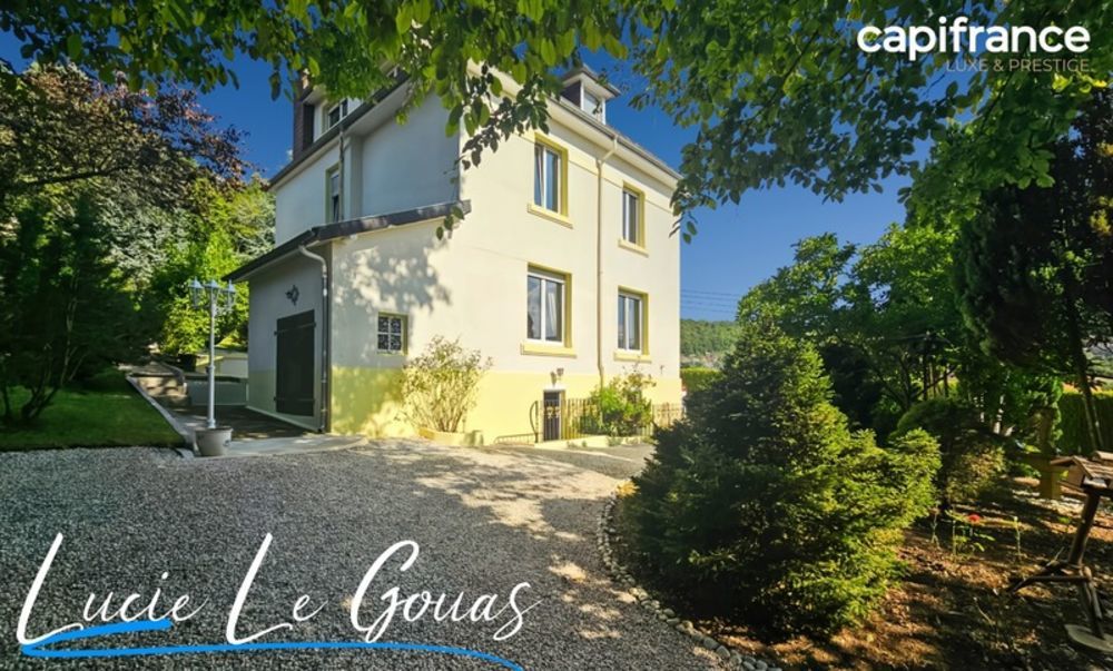 � vendre  Propri�t�/ch�teau Saulnes (54650)