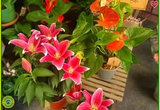  Maison � vendre 10 pi�ces 139 m�