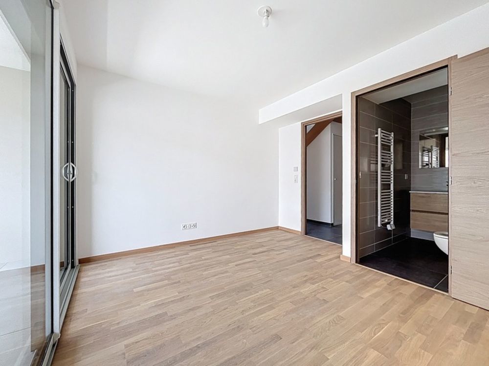 � vendre  Duplex/triplex Annemasse (74100)