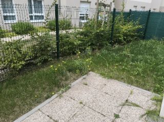  Appartement � louer 1 pi�ce 26 m�