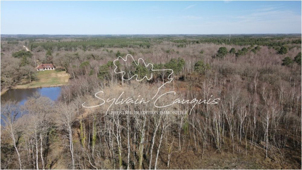 � vendre  Propri�t�/ch�teau Lamotte-Beuvron (41600)