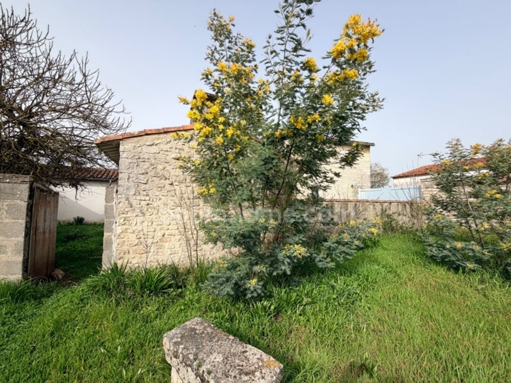 � vendre  Maison Sainte-Marie-de-R� (17740)