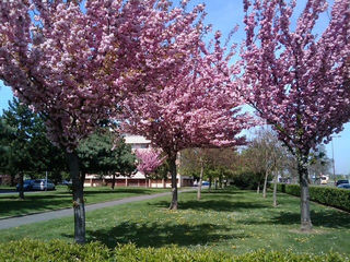  Appartement � vendre 4 pi�ces 81 m�