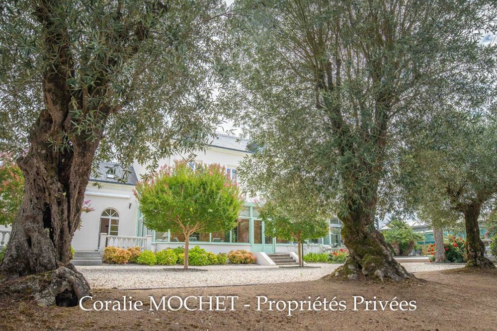 � vendre  Propri�t�/ch�teau Les Sorini�res (44840)