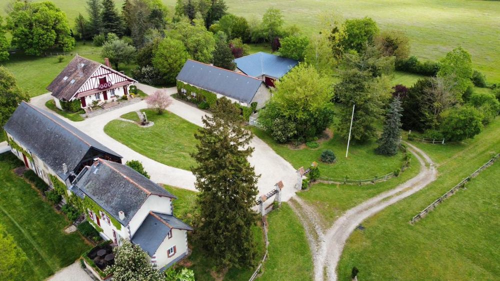 � vendre  Propri�t�/ch�teau Pressigny-les-Pins (45290)