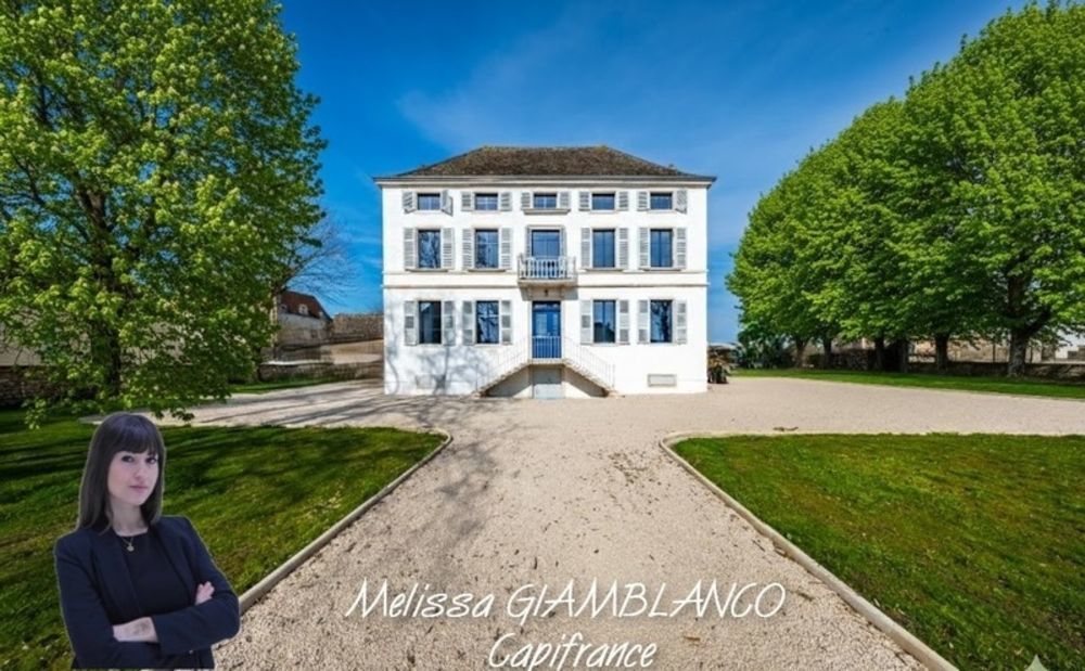 � vendre  Propri�t�/ch�teau Chalon-sur-Sa�ne (71100)